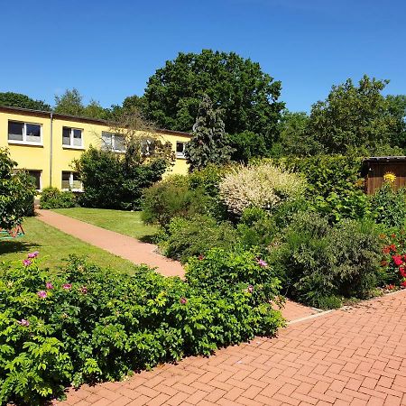 Ferienwohnung Ruegen In Samtens Buitenkant foto
