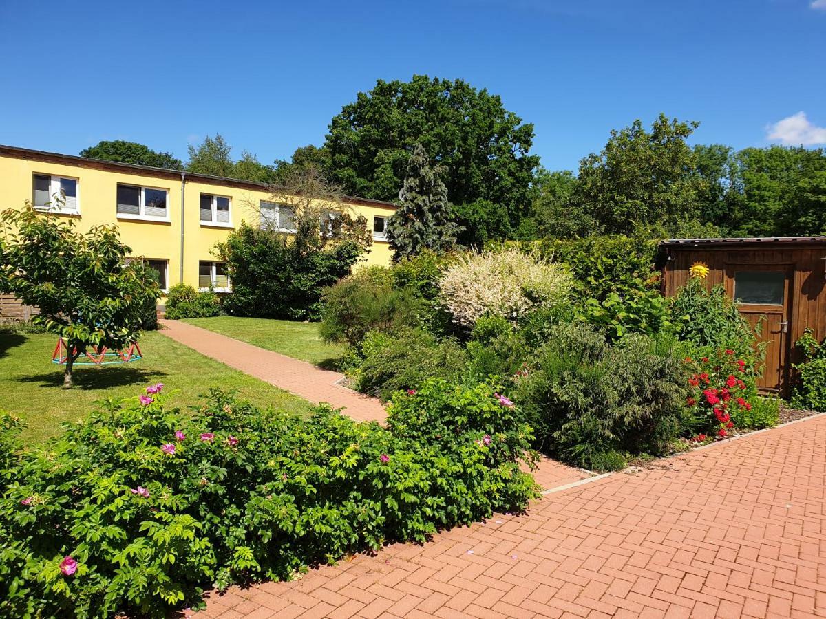 Ferienwohnung Ruegen In Samtens Buitenkant foto